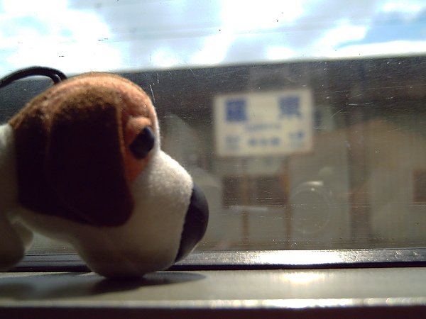 花蓮慢活遊 377.jpg