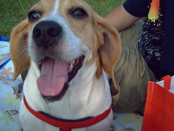 PICT0124.JPG