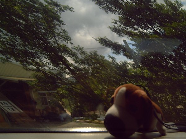 花蓮慢活遊 357.jpg