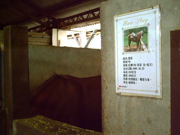 照片 158.jpg