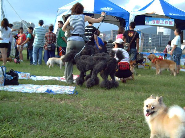 PICT0128.JPG