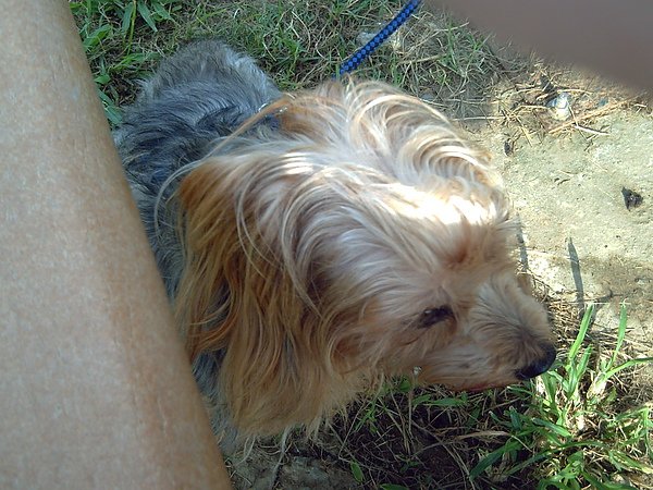 PICT0114.JPG
