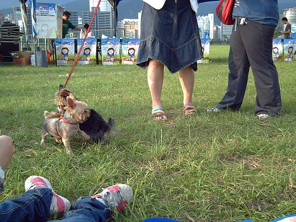 PICT0139.JPG