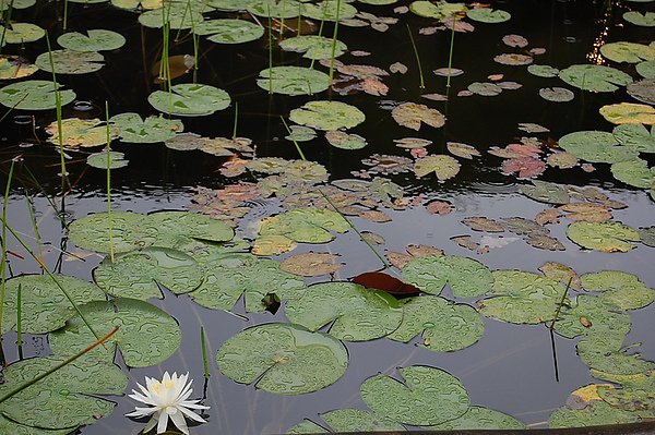 花蓮慢活遊 052.jpg