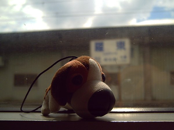 花蓮慢活遊 374.jpg