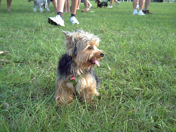 PICT0132.JPG