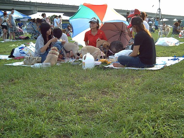 PICT0129.JPG