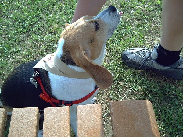 PICT0113.JPG