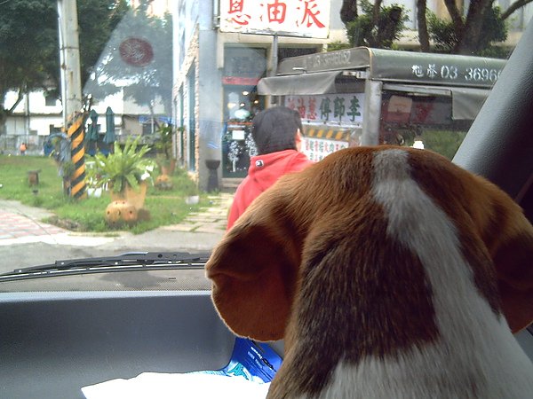 照片 282.jpg