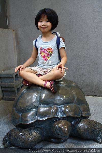 IMG_6529_rotationsmall.jpg