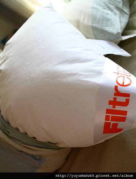 IMG_2555_rotationpillow4.jpg