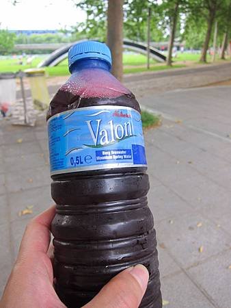 IMG_5593