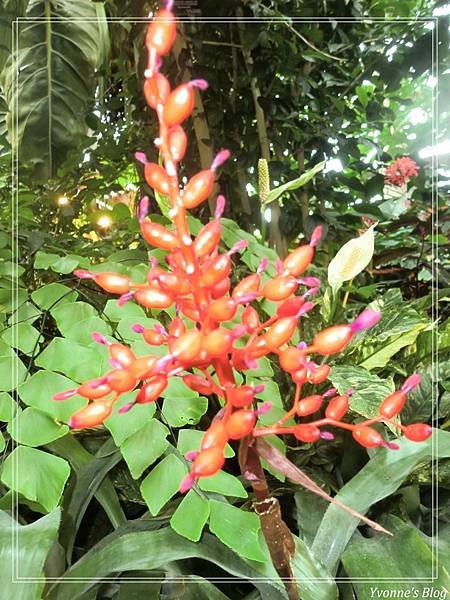 Floral Showhouse3.jpg