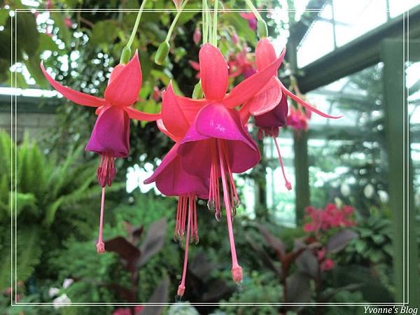 Floral Showhouse7.jpg