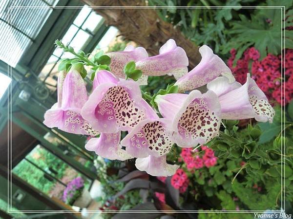 Floral Showhouse13.jpg