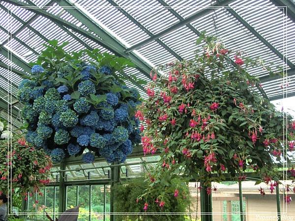 Floral Showhouse10.jpg