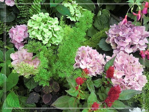 Floral Showhouse15.jpg