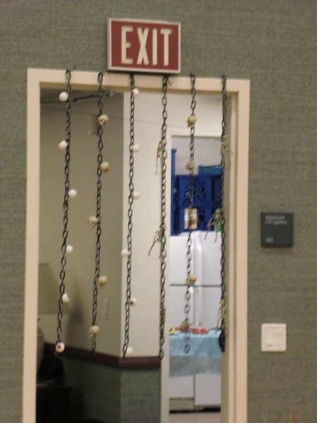 CIMG5570.JPG