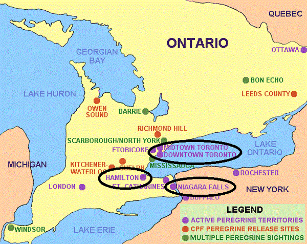 ontario_colour_map_display.gif