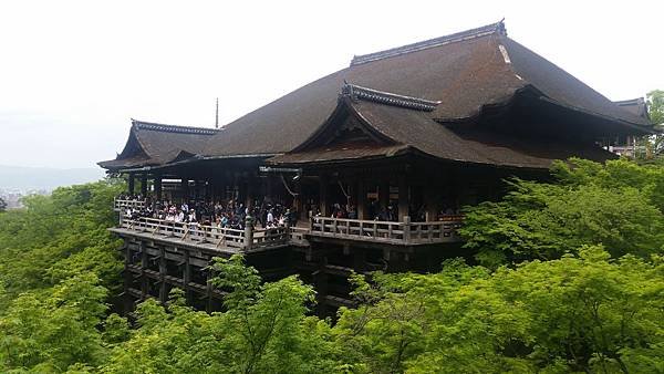 20160427_105427.jpg
