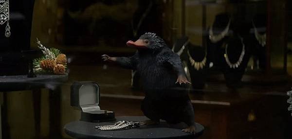 Fantastic-Beasts-and-Where-to-Find-Them-little-creature.jpg