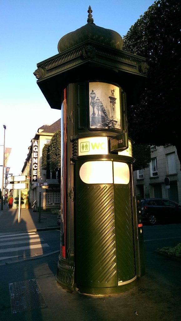 IMAG1541