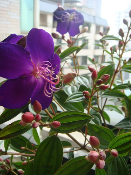 DSC02545.jpg