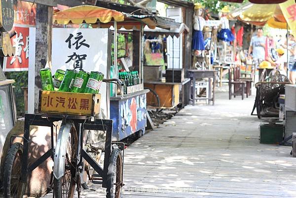 【遊。台南】佳里驛站香草花園。龍貓車站