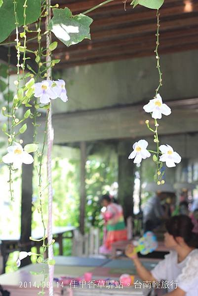 【遊。台南】佳里驛站香草花園。龍貓車站