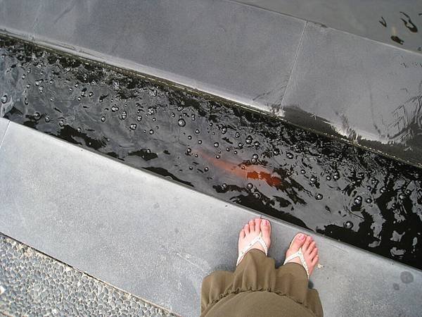 照片 164.jpg