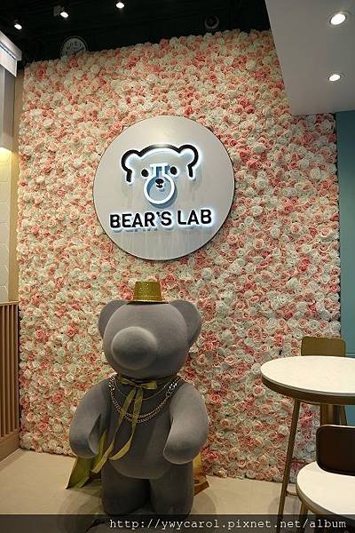 bearslab_04.JPG