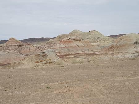 DSCN0206