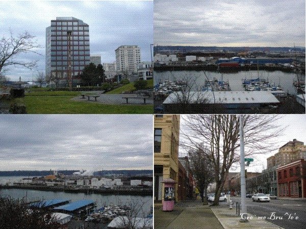 tacoma 1.jpg