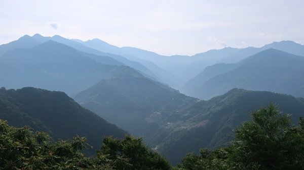 IMG_3835.JPG