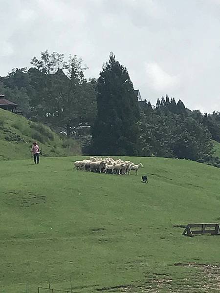 20190526_IMG_5987.JPG