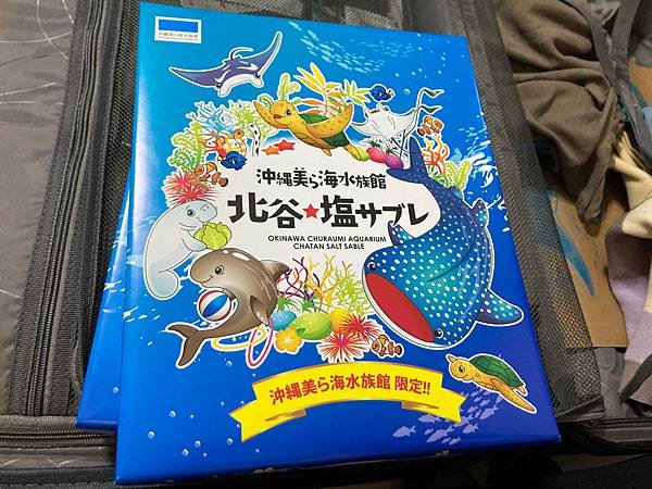 親子第一飛・沖繩7天6夜Day7