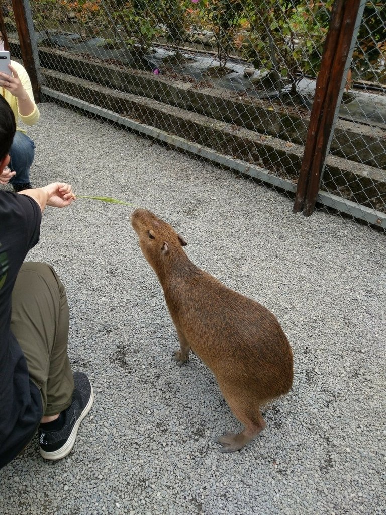 張美阿媽和童話藝宿_210406_7.jpg