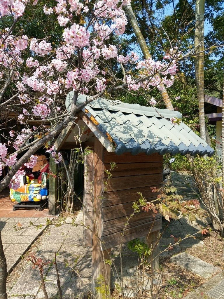 淡水紅樹林三空泉農場_210409_11.jpg