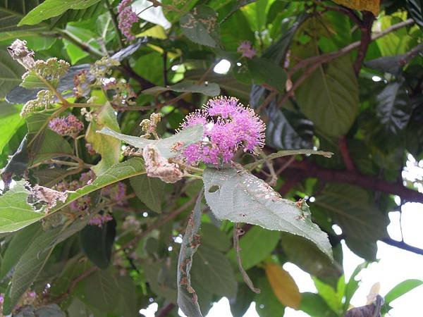 DSCN3541
