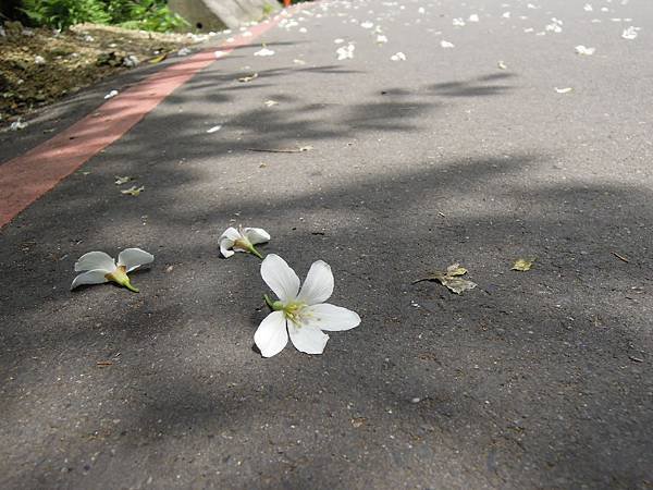 DSCN3589
