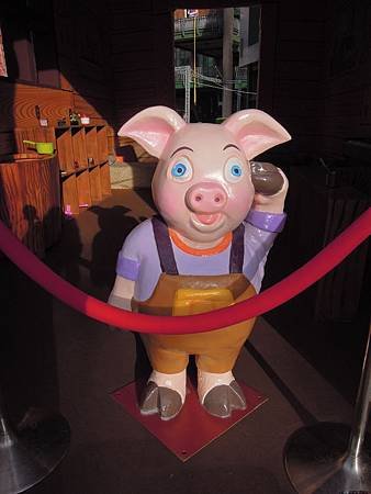 DSCN3702