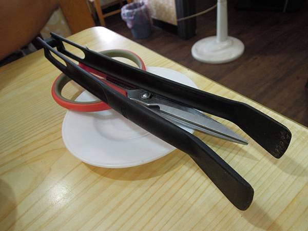 DSCN5041