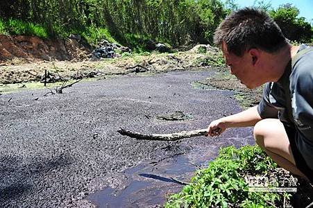 金門白龍溪變「黑龍江」 禍首追追追52