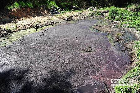 金門白龍溪變「黑龍江」 禍首追追追