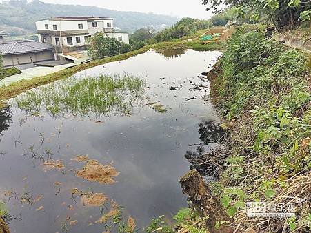 養豬場排汙 大屯溪變化糞池