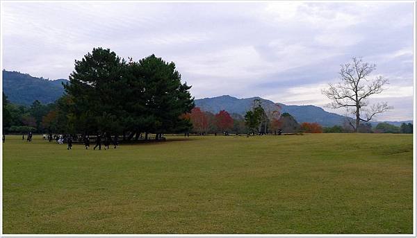 奈良公園