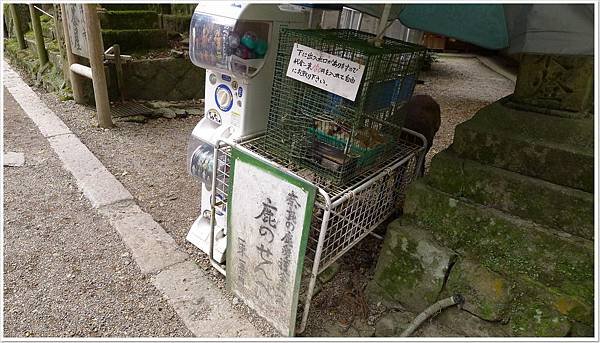 鹿仙貝販賣機