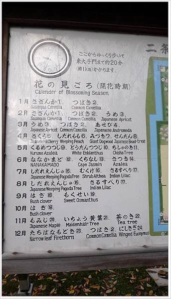 每個季節都可以賞花