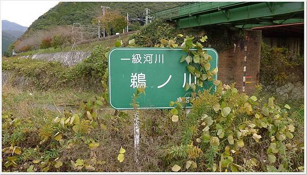 雜草叢生的一級河川