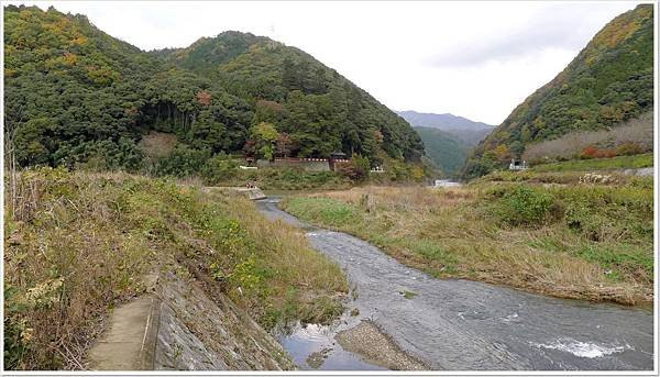 雜草叢生的一級河川